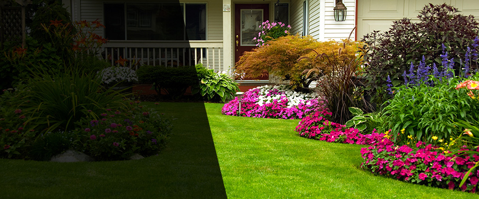 Malakoff Landscapers
