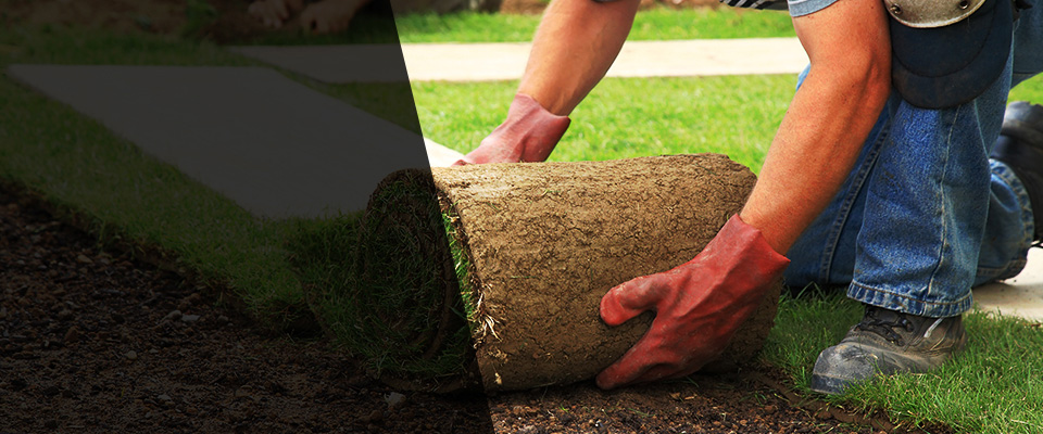 Malakoff Landscapers